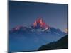 Machapuchare (Machhapuchhre) (Fish Tail) Mountain, in the Annapurna Himal of North Central Nepal, N-Mark Chivers-Mounted Photographic Print