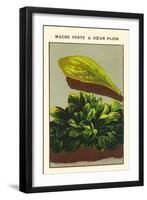 Mache Verte A Coeur Plein-null-Framed Art Print