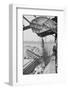 Machine Loading Garbage onto Barge-Harry Leder-Framed Photographic Print