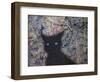 Machka Memory-James W. Johnson-Framed Giclee Print