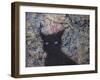 Machka Memory-James W. Johnson-Framed Giclee Print