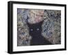 Machka Memory-James W. Johnson-Framed Giclee Print