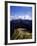 Machu Picchu 1-Charles Bowman-Framed Photographic Print