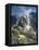 Machu Picchu in Morning Fog-Darrell Gulin-Framed Stretched Canvas