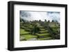 Machu Picchu Inca Architecture-null-Framed Premium Giclee Print