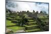 Machu Picchu Inca Architecture-null-Mounted Art Print