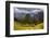 Machu Picchu Incan Ruins, UNESCO World Heritage Site, Sacred Valley, Peru, South America-Laura Grier-Framed Photographic Print