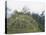 Machu Picchu, Lost City of the Incas, Peru-Doug Allan-Stretched Canvas