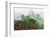 Machu Picchu Mist-Scott Bennion-Framed Photo