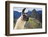 Machu Picchu, Peru, UNESCO World Heritage Site. One of the New Seven Wonders of the World-sunsinger-Framed Photographic Print