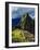 Machu Picchu Ruins, UNESCO World Heritage Site, Cusco Region, Peru, South America-Karol Kozlowski-Framed Photographic Print