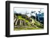 Machu Picchu, the Ancient Inca City in the Andes, Peru-Curioso Travel Photography-Framed Photographic Print