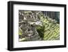 Machu Picchu, the Ancient Inca City in the Andes, Peru-Curioso Travel Photography-Framed Photographic Print