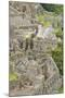 Machu Picchu, UNESCO World Heritage Site, Near Aguas Calientes, Peru, South America-Michael DeFreitas-Mounted Photographic Print