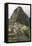 Machu Picchu, UNESCO World Heritage Site, Near Aguas Calientes, Peru, South America-Michael DeFreitas-Framed Stretched Canvas