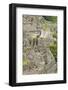 Machu Picchu, UNESCO World Heritage Site, Near Aguas Calientes, Peru, South America-Michael DeFreitas-Framed Photographic Print