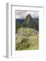 Machu Picchu, UNESCO World Heritage Site, Near Aguas Calientes, Peru, South America-Michael DeFreitas-Framed Photographic Print