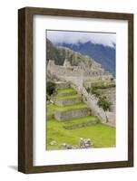 Machu Picchu, UNESCO World Heritage Site, Near Aguas Calientes, Peru, South America-Michael DeFreitas-Framed Photographic Print