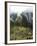 Machu Picchu, UNESCO World Heritage Site, Peru, South America-McCoy Aaron-Framed Photographic Print