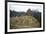 Machu Picchu, UNESCO World Heritage Site, Peru, South America-Yadid Levy-Framed Photographic Print