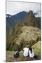 Machu Picchu, UNESCO World Heritage Site, Peru, South America-Yadid Levy-Mounted Photographic Print