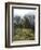 Machu Picchu, UNESCO World Heritage Site, Peru, South America-McCoy Aaron-Framed Photographic Print