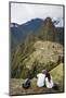 Machu Picchu, UNESCO World Heritage Site, Peru, South America-Yadid Levy-Mounted Photographic Print