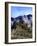 Machu Picchu-Charles Bowman-Framed Photographic Print