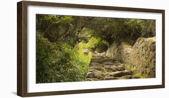 Machu Pichu, Peru. Path to the Sun Gate.-Janet Muir-Framed Photographic Print