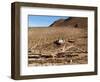 Machuca Village, Atacama Desert, Chile, South America-Sergio Pitamitz-Framed Photographic Print