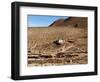 Machuca Village, Atacama Desert, Chile, South America-Sergio Pitamitz-Framed Photographic Print