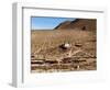 Machuca Village, Atacama Desert, Chile, South America-Sergio Pitamitz-Framed Photographic Print