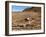 Machuca Village, Atacama Desert, Chile, South America-Sergio Pitamitz-Framed Photographic Print