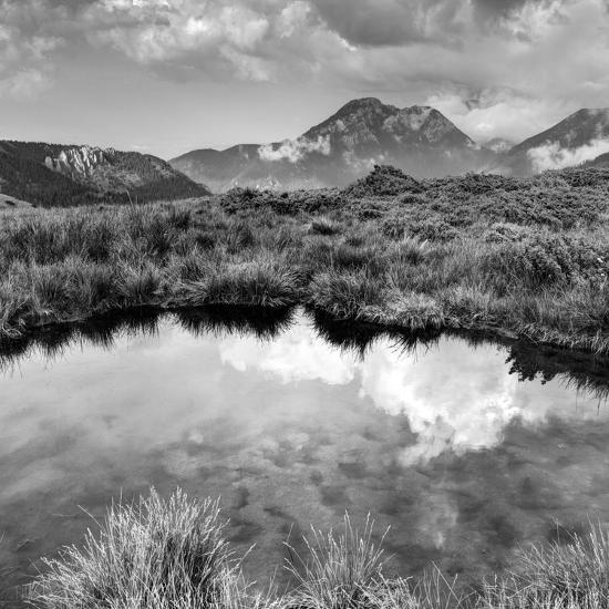 Premium Photographic Print, , large