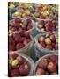 Macintosh Apples in Baskets, New York State, USA-Adam Jones-Stretched Canvas