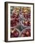 Macintosh Apples in Baskets, New York State, USA-Adam Jones-Framed Photographic Print