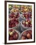 Macintosh Apples in Baskets, New York State, USA-Adam Jones-Framed Photographic Print