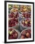 Macintosh Apples in Baskets, New York State, USA-Adam Jones-Framed Photographic Print