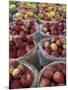 Macintosh Apples in Baskets, New York State, USA-Adam Jones-Mounted Photographic Print