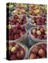 Macintosh Apples in Baskets, New York State, USA-Adam Jones-Stretched Canvas