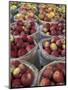 Macintosh Apples in Baskets, New York State, USA-Adam Jones-Mounted Photographic Print