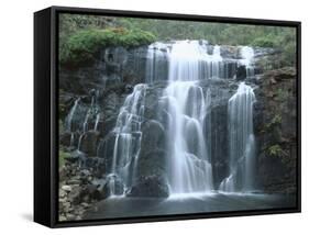 Mackenzie Falls, Grampians National Park, Victoria, Australia-Robert Francis-Framed Stretched Canvas