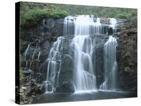 Mackenzie Falls, Grampians National Park, Victoria, Australia-Robert Francis-Stretched Canvas