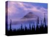 MacKenzie Mountains, Northwest Territories, Canada-Art Wolfe-Stretched Canvas