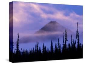 MacKenzie Mountains, Northwest Territories, Canada-Art Wolfe-Stretched Canvas