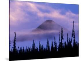 MacKenzie Mountains, Northwest Territories, Canada-Art Wolfe-Stretched Canvas