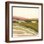Brown Frame