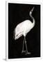 Gramercy White