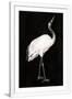 Gramercy White