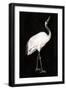 Black Frame